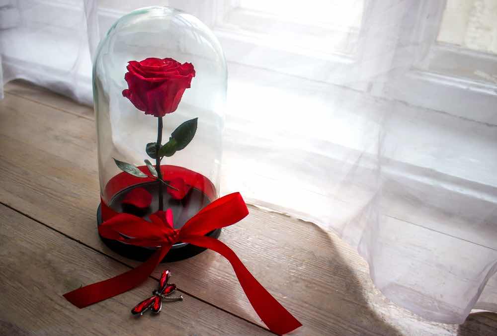 プロポーズにプレゼントされたプリザーブドフラワーのバラ